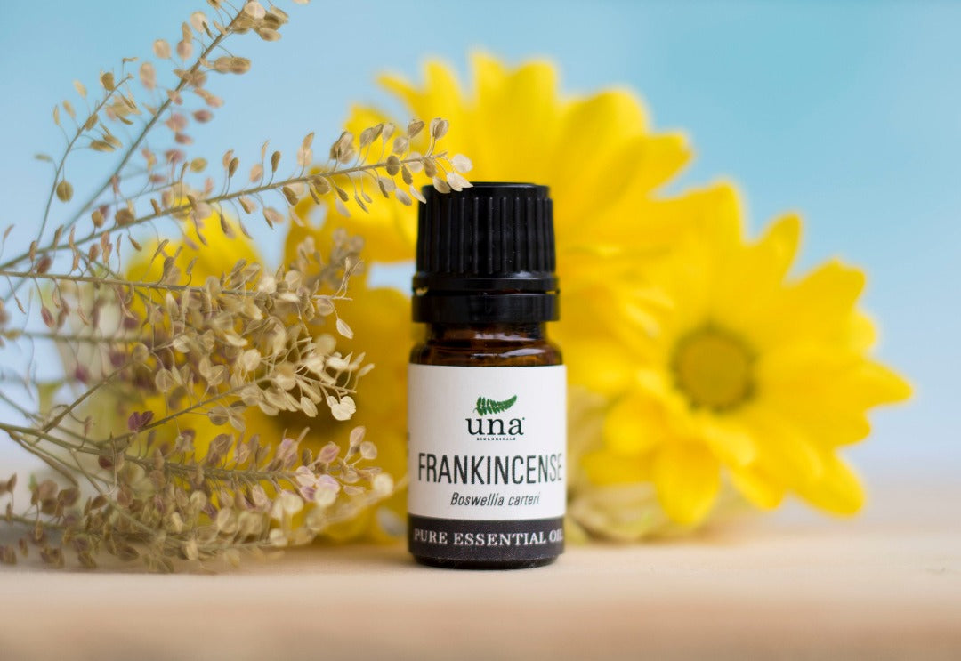 Frankincense Essential Oil | Pure Essential Oil | Una Biologicals