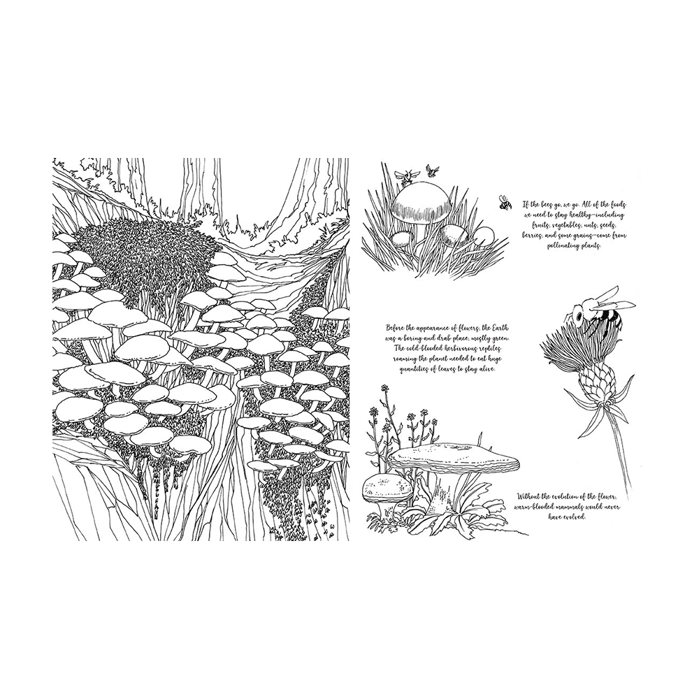 Fantastic Fungi Coloring Book by Fantastic Fungi