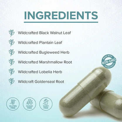 LYMPHX – Advanced Natural Defense & Total Body Wellness