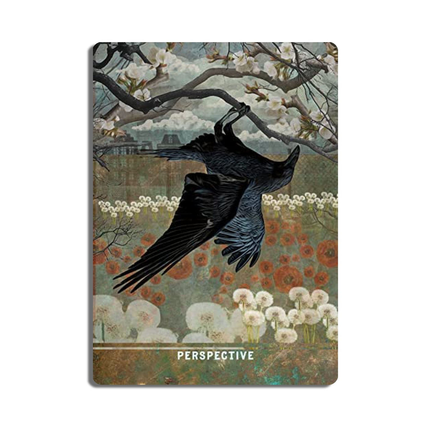 Urban Crow Oracle: 54 Oracle Cards & Guidebook