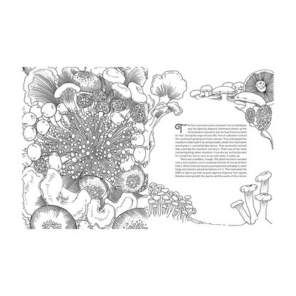 Fantastic Fungi Coloring Book by Fantastic Fungi