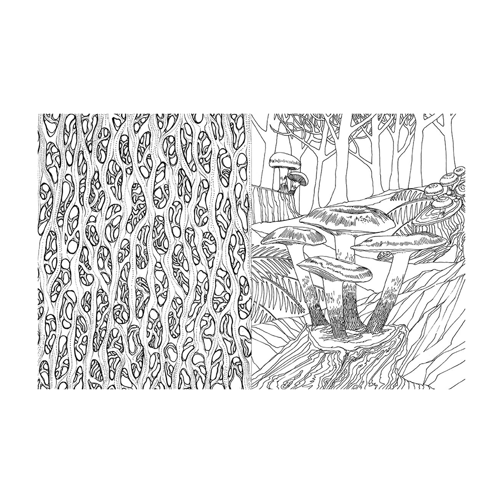 Fantastic Fungi Coloring Book by Fantastic Fungi