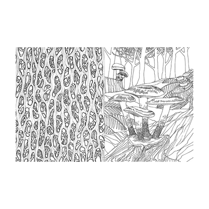 Fantastic Fungi Coloring Book by Fantastic Fungi