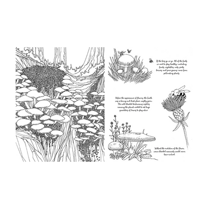 Fantastic Fungi Coloring Book by Fantastic Fungi