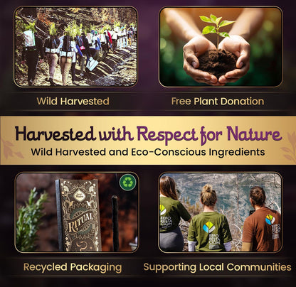 Tao Premium Incense Collection