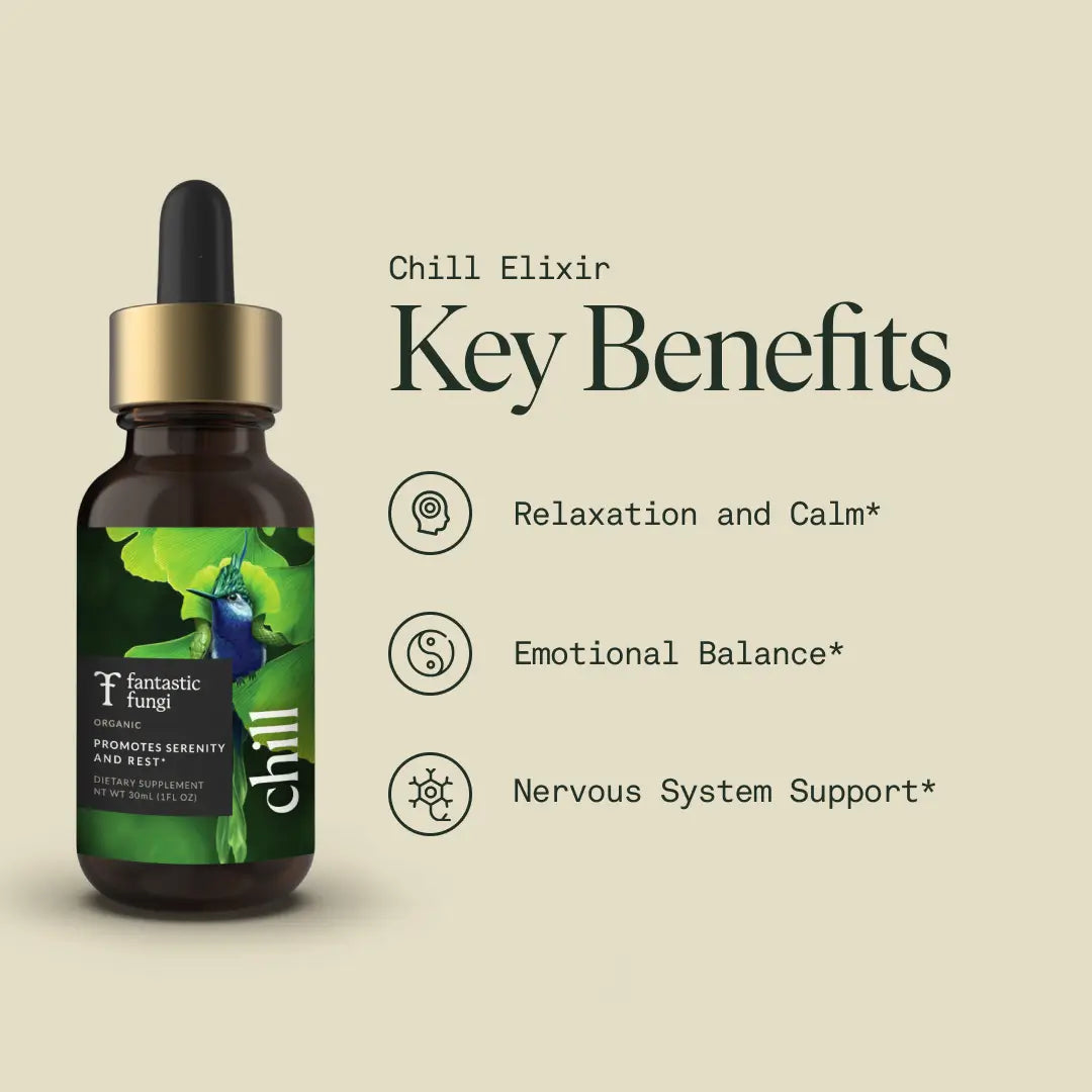 Chill Elixir by Fantastic Fungi