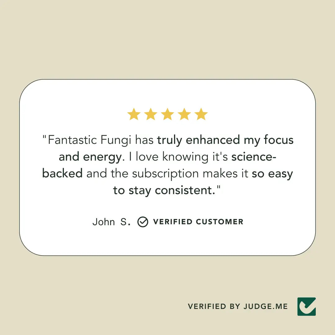 Mind Capsules by Fantastic Fungi