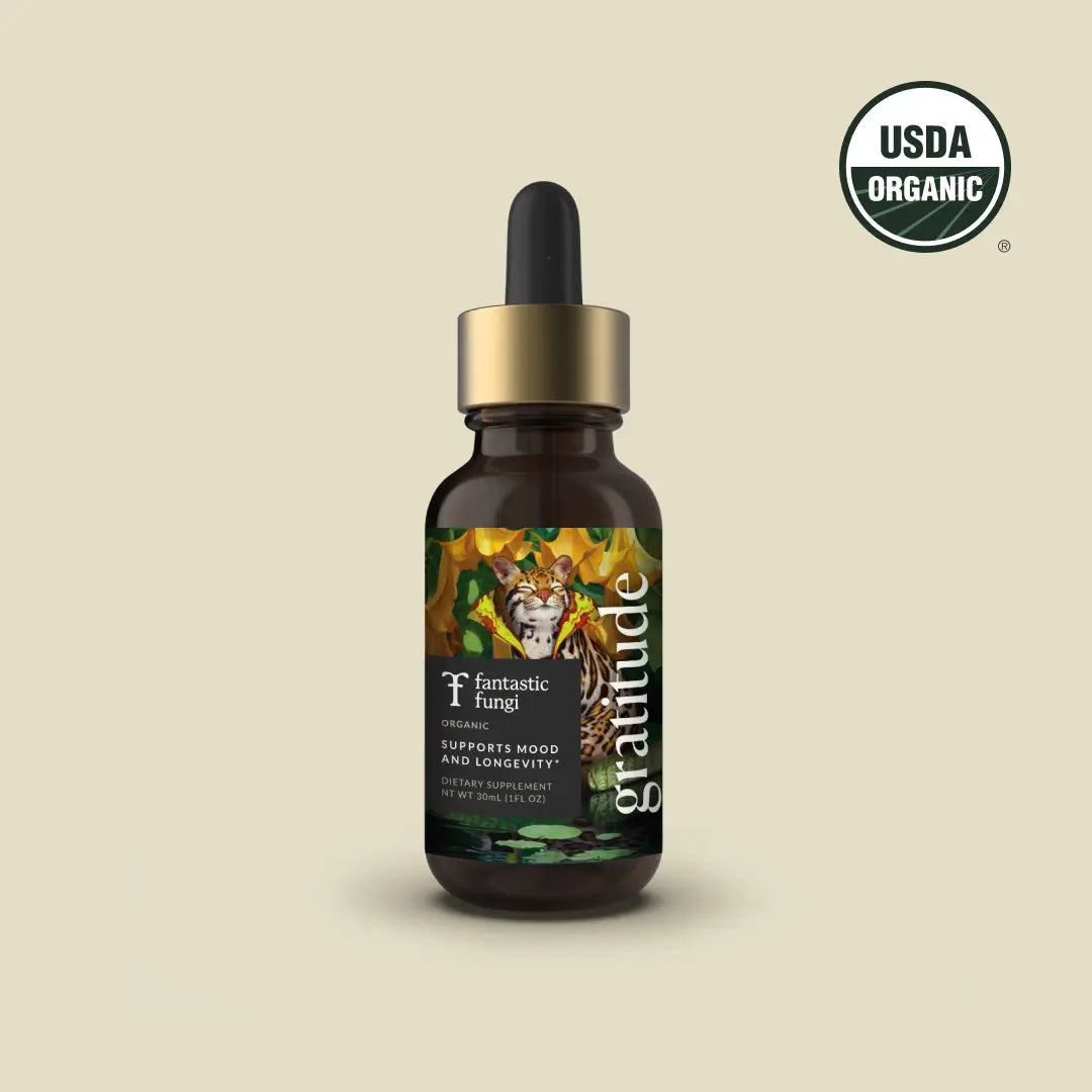 Gratitude Elixir by Fantastic Fungi