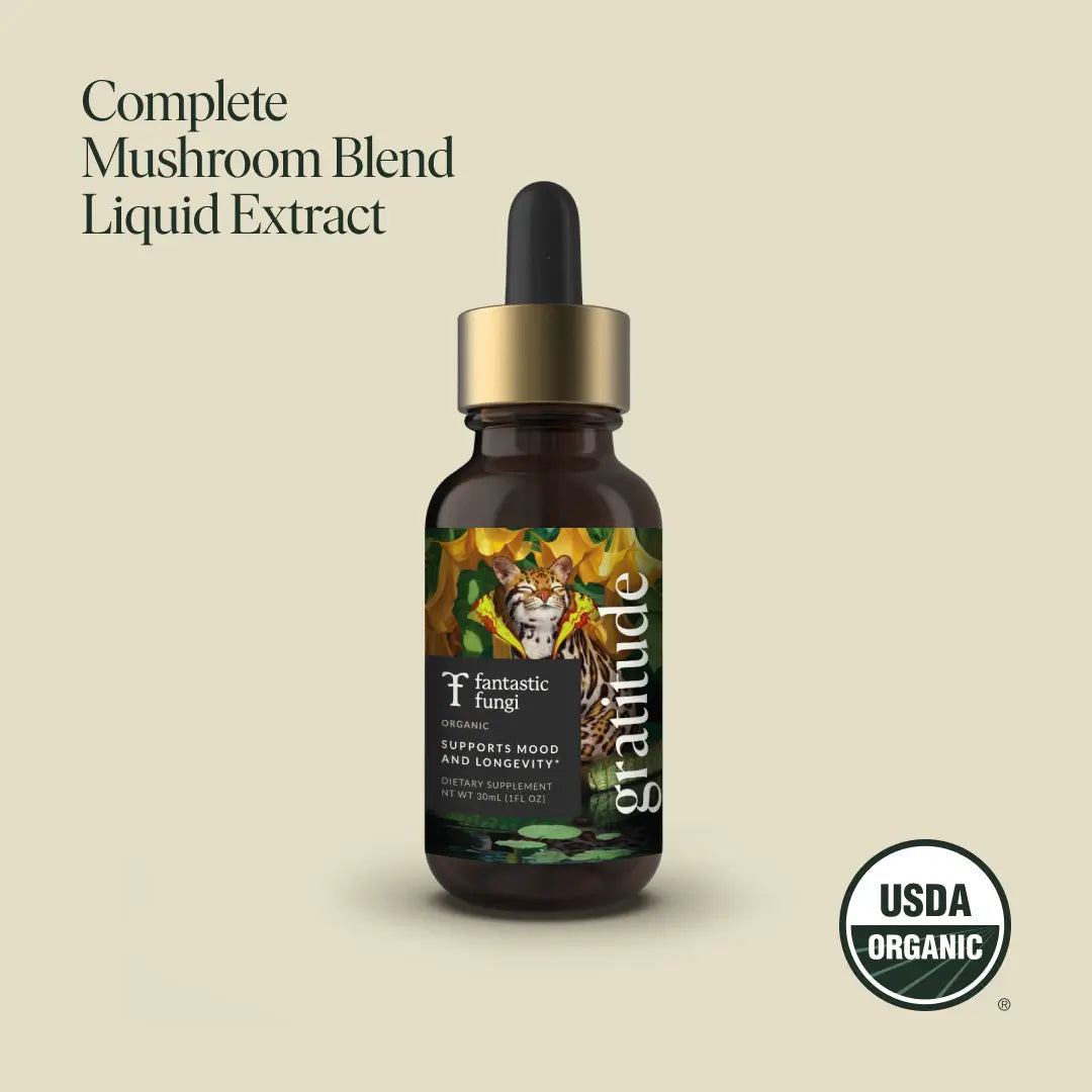 Gratitude Elixir by Fantastic Fungi