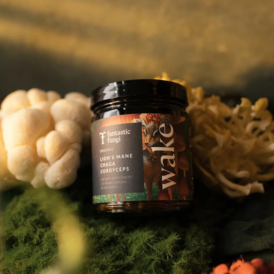 Wake Capsules by Fantastic Fungi