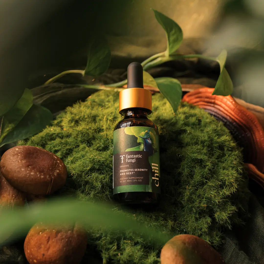 Chill Elixir by Fantastic Fungi