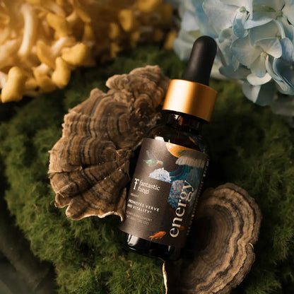 Energy Elixir by Fantastic Fungi