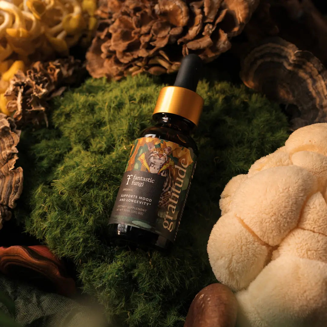 Gratitude Elixir by Fantastic Fungi