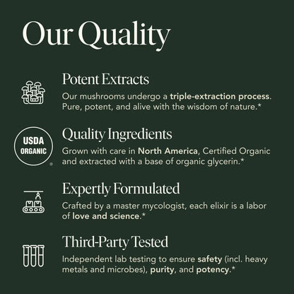 Gratitude Elixir by Fantastic Fungi