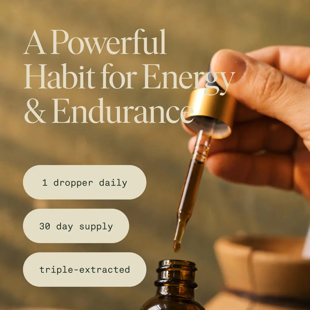 Energy Elixir by Fantastic Fungi