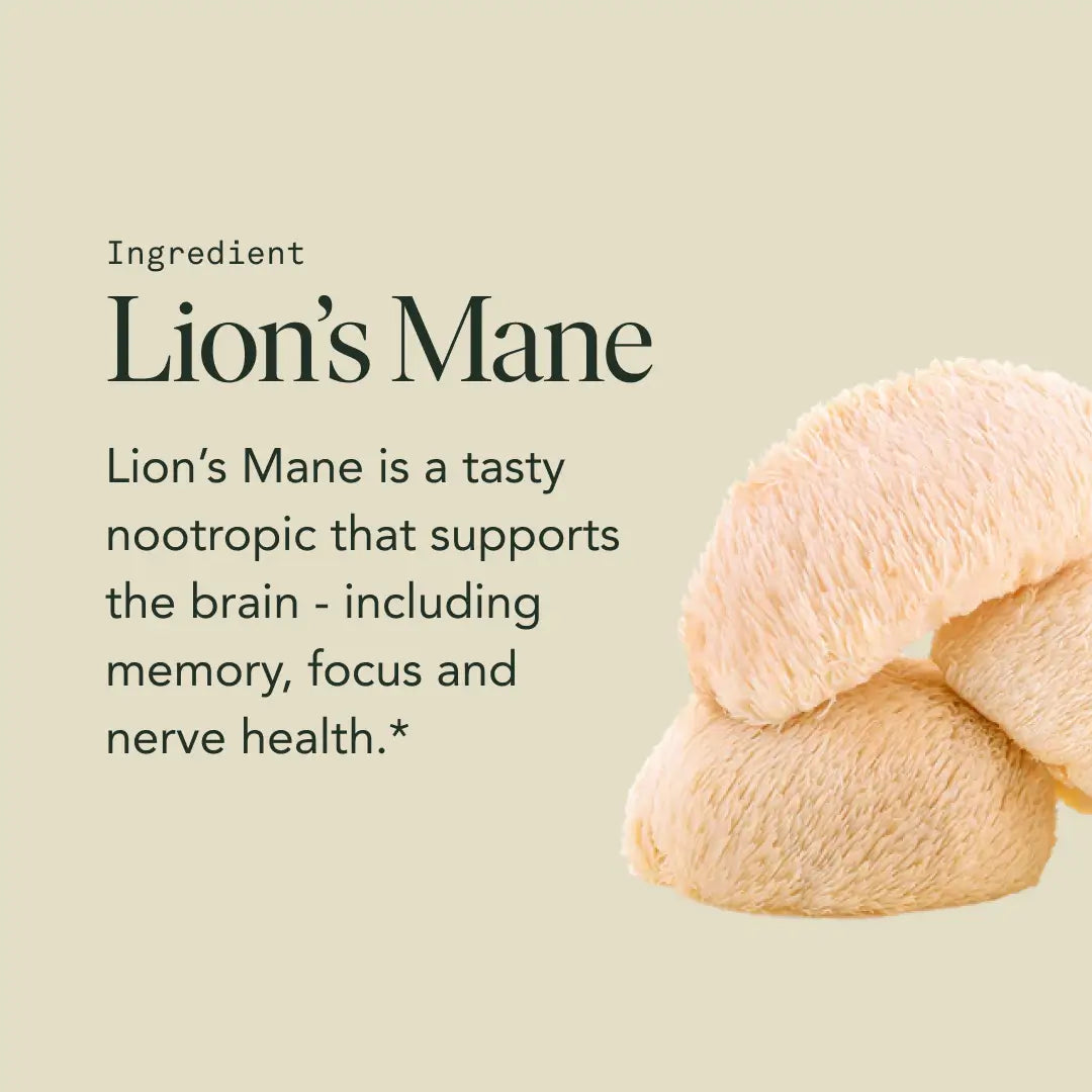 Mind Capsules by Fantastic Fungi