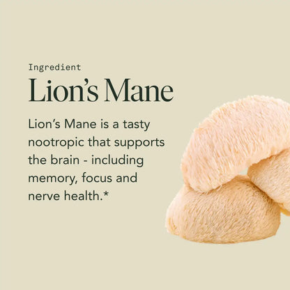 Mind Capsules by Fantastic Fungi