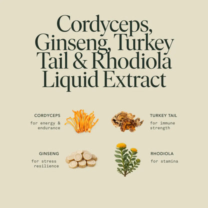 Energy Elixir by Fantastic Fungi