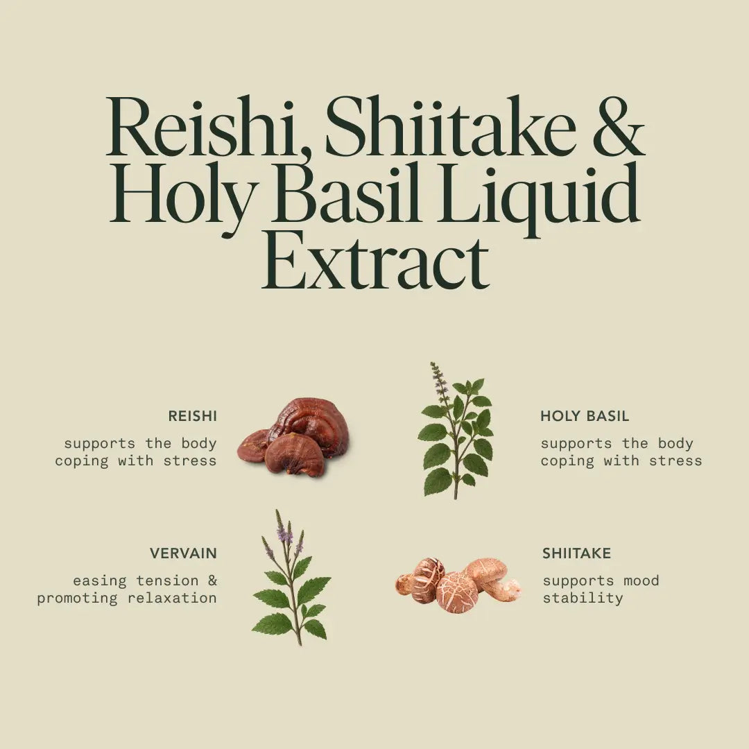 Chill Elixir by Fantastic Fungi