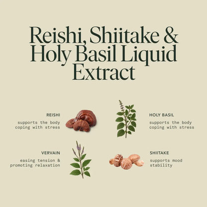 Chill Elixir by Fantastic Fungi