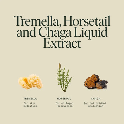 Beauty Elixir by Fantastic Fungi