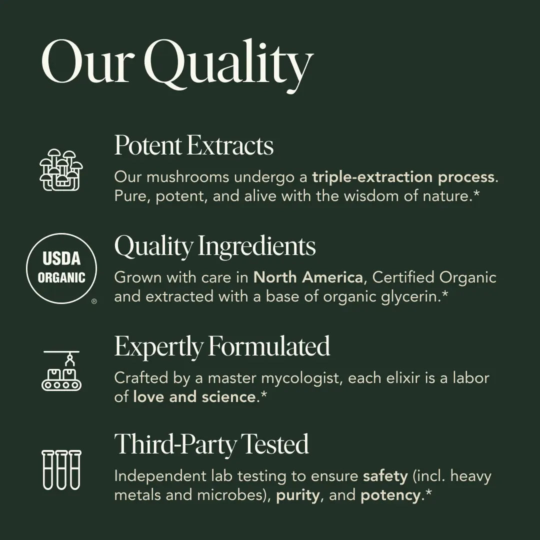 Beauty Elixir by Fantastic Fungi