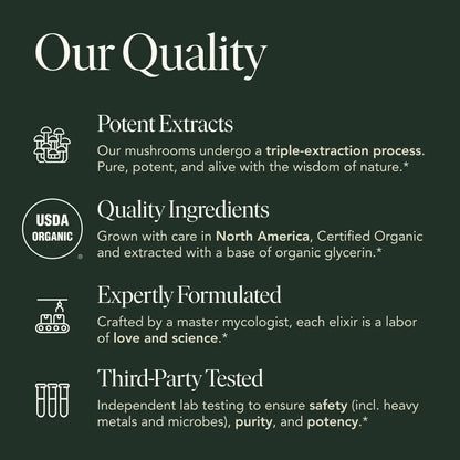 Beauty Elixir by Fantastic Fungi