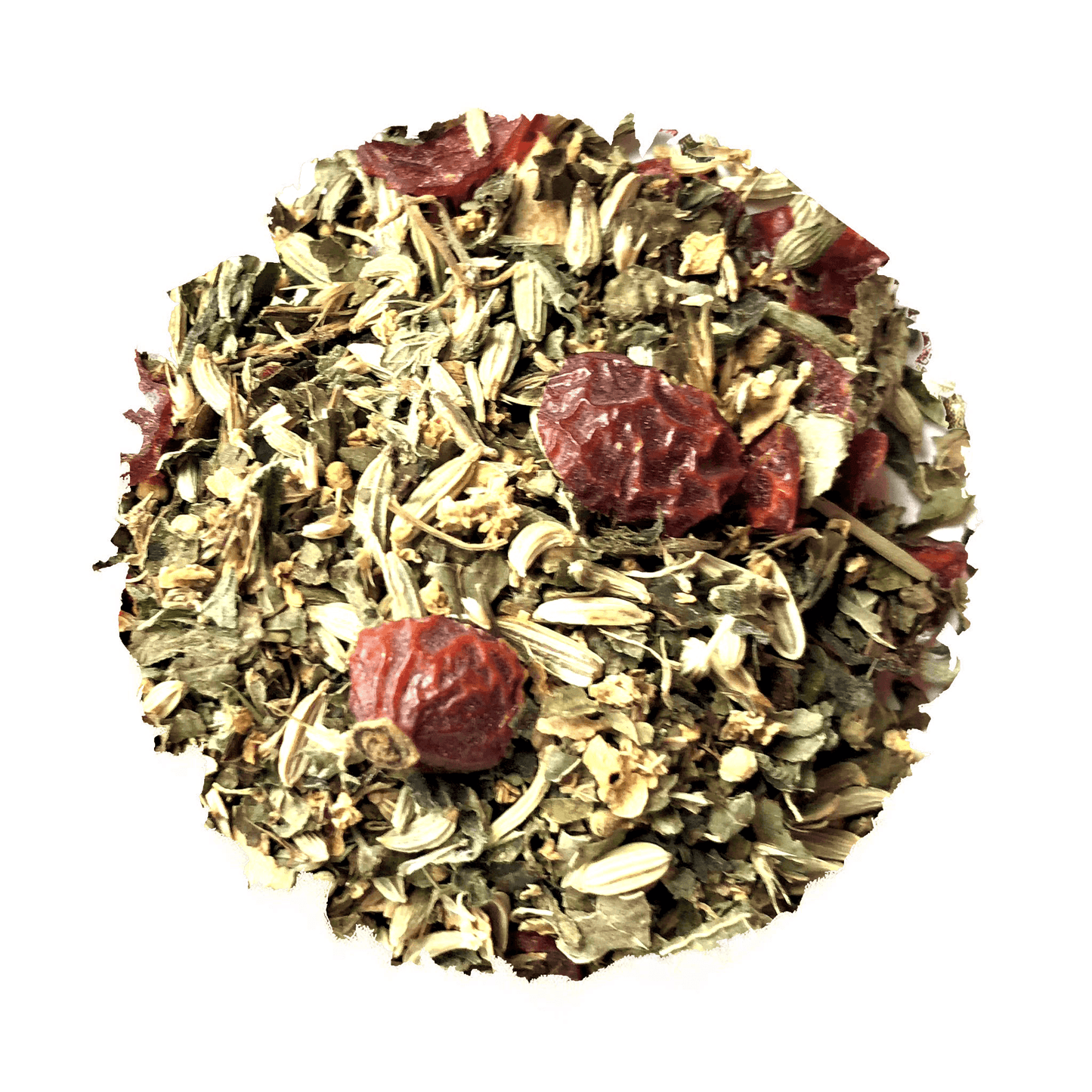 Storm Chaser For Kids