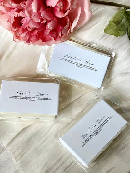 Handmade Organic Soy Wax Melts – Clean and Fresh Scent